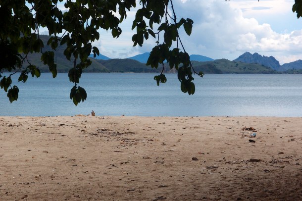 A preview of Komodo Island in  Flores.