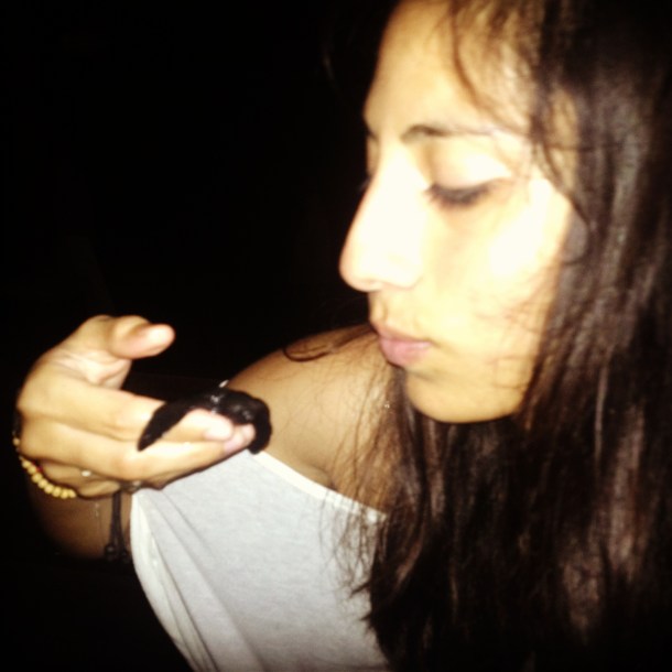 Breaking the rules slightly to kiss baby turtles.