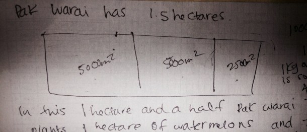 Hectares Illustraton