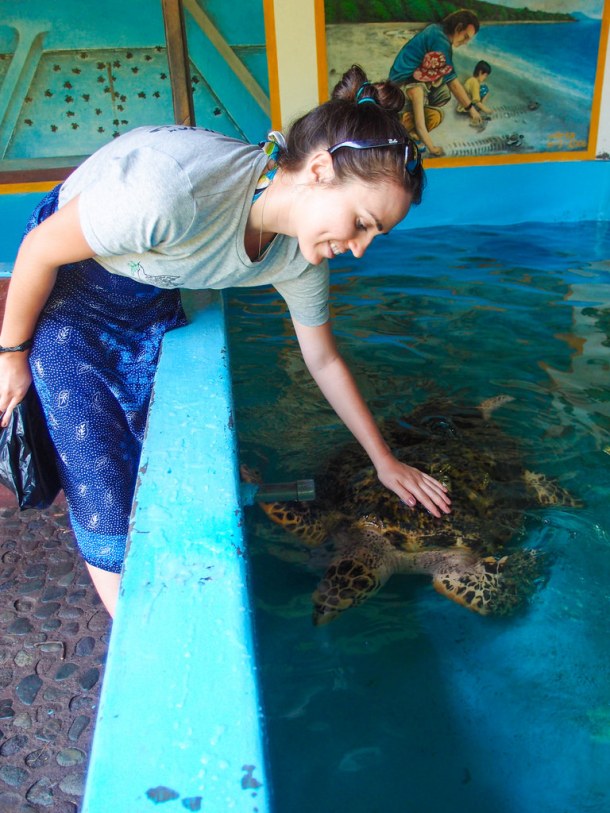 13209053143_c911f5b7d4_b